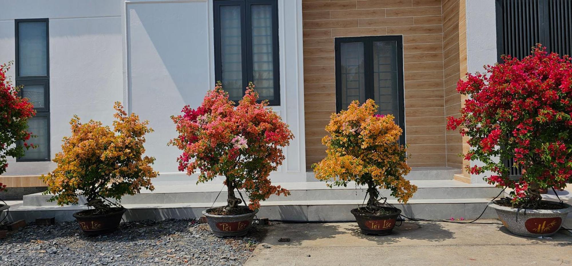 Nhà nghỉ Trúc Mây Ben Tre Exterior foto